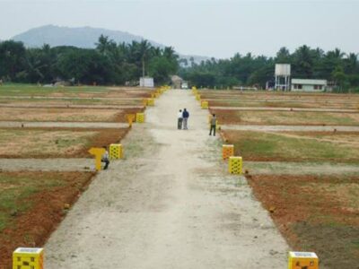 CMDA Approved plot