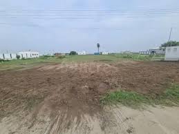 Erichanatham DTCP Approved plots available