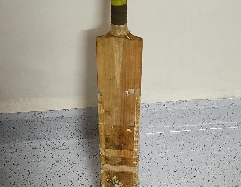 Bat for sale