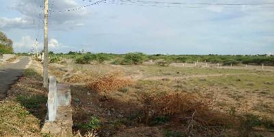 Chennai plot for sale for Sivakasi People only