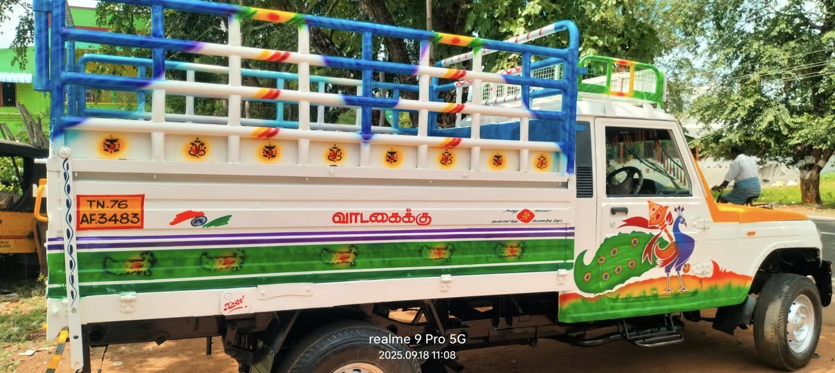 Boliro pickup for sale