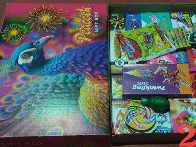 Pyrocrackers crackers 80% off