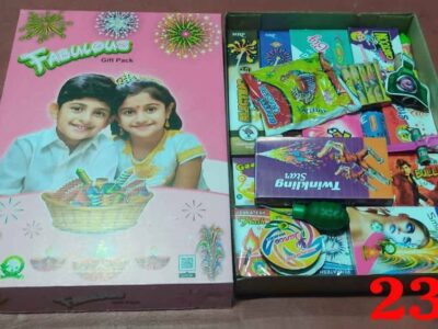 Pyrocrackers crackers 80% off