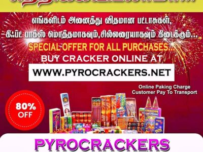 Pyrocrackers crackers 80% off