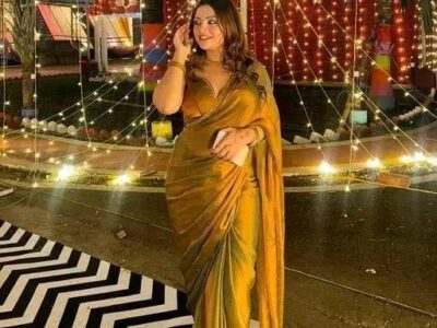 Banita Voguish Twill Net Sarees