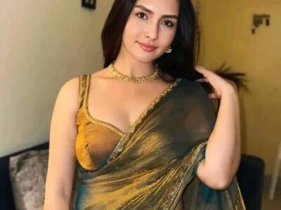 Banita Voguish Twill Net Sarees