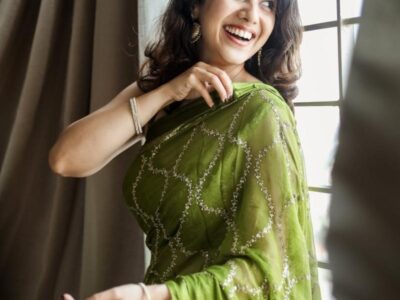 Viscose Georgette saree