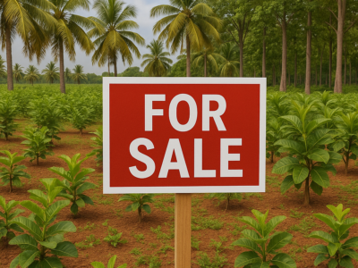Farm Land for sale