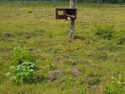 11-ஏக்கர் நிலம் விற்பனைக்கு