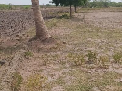 165-சென்ட் விவசாய தோட்டம் விற்பனைக்கு