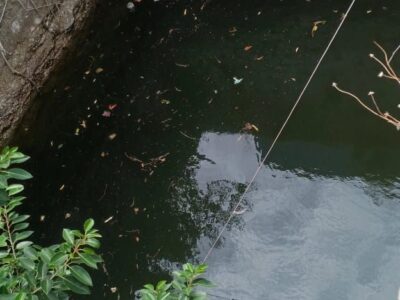 165-சென்ட் விவசாய தோட்டம் விற்பனைக்கு