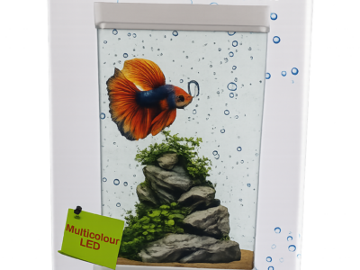 Betta Fish Tank July Month ₹499 Offer