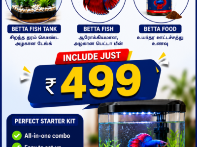 Betta Fish Tank July Month ₹499 Offer