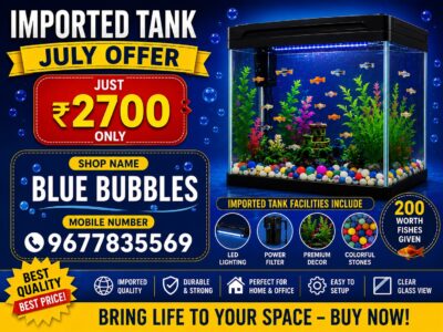 Imported Fish Tank offer (₹200 Worth Fishes Free)